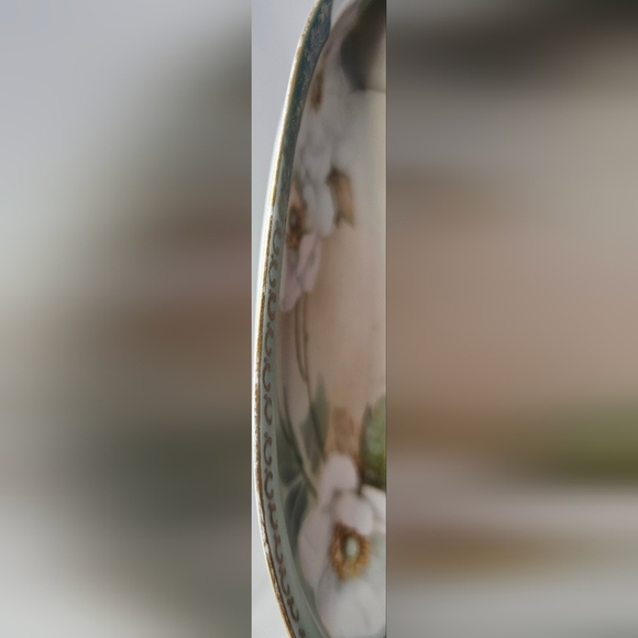 Vintage RS Tillowitz Silesia Hand Painted Butter Celery Dish White Magnolia - Picture 10 of 15